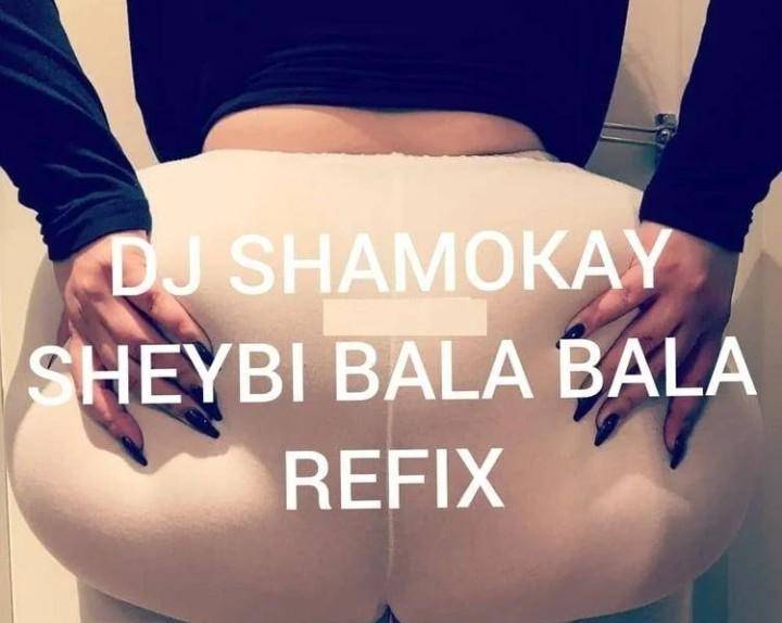 DJ Shamokay – Sheydi Bala Bala (Refix)