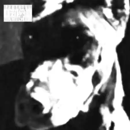 Untiljapan – Dogfood