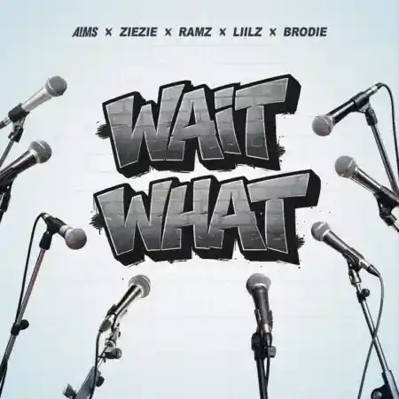AIMS – Wait What