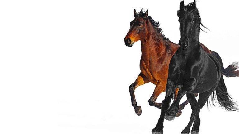 Lil Nas X Ft. Billy Ray Cyrus – Old Town Road
