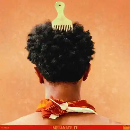 La Reezy – Melanate It