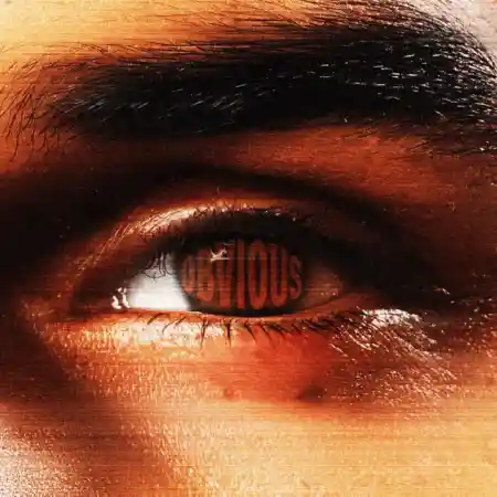 Chris Brown – Obvious