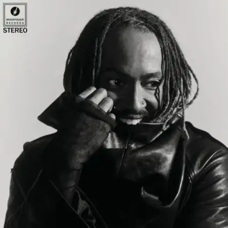 Thundercat – I Did This To Myself
