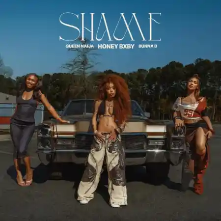 Honey Bxby – Shame (Remix)